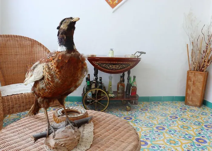 Apartment Sorrento Realty Holidays - Erika Apt Positano