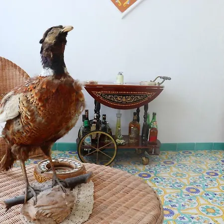 Apartamento Sorrento Realty Holidays - Erika Apt Positano